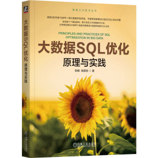 社新华书店正版 大数据SQL优化 原理与实践陈鹤数据库机械工业出版