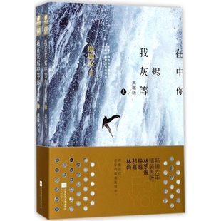 鹿鹿安青春 都市 言情 我在灰烬中等你 社新华书店正版 典藏版 轻小说江苏凤凰文艺出版 上下