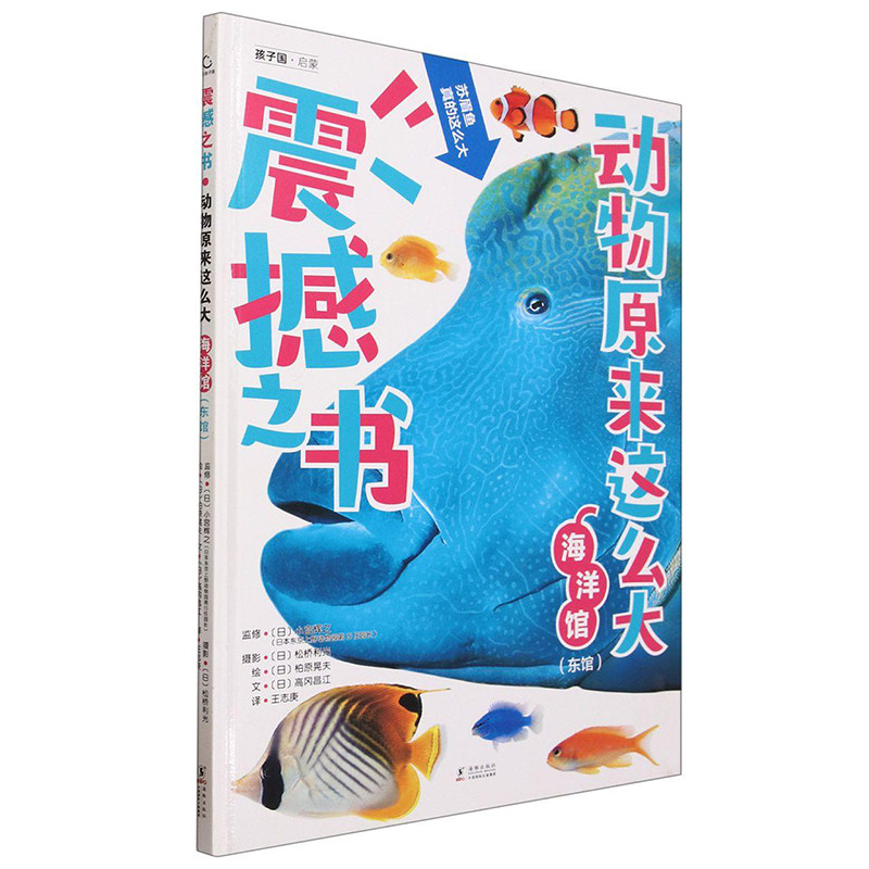 震撼之书·动物原来这么大:海洋馆(东馆)动物百科全书大百科原来动物这么大科普类书籍小学生科普绘本 新华正版书籍
