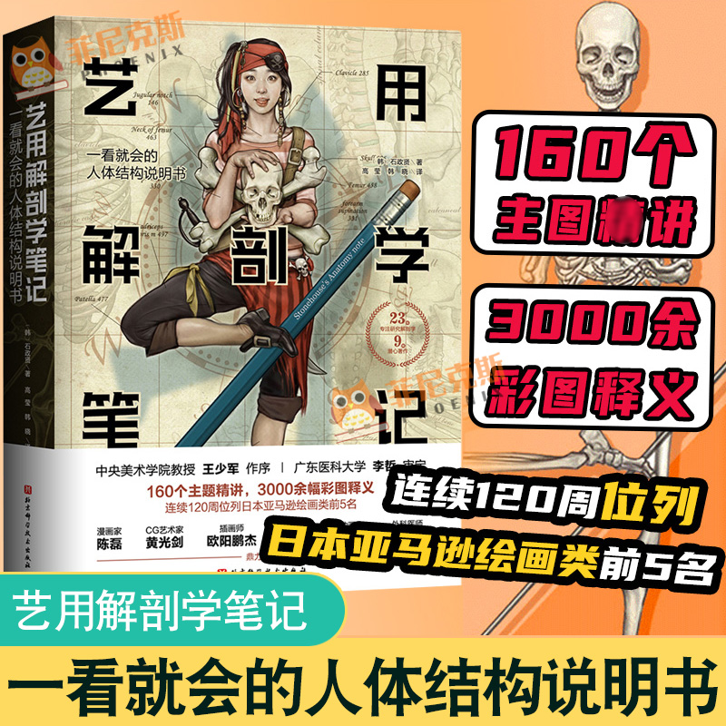 石政贤韩国李哲一看就会的人体结构说明书人体结构图谱人体素描教程书