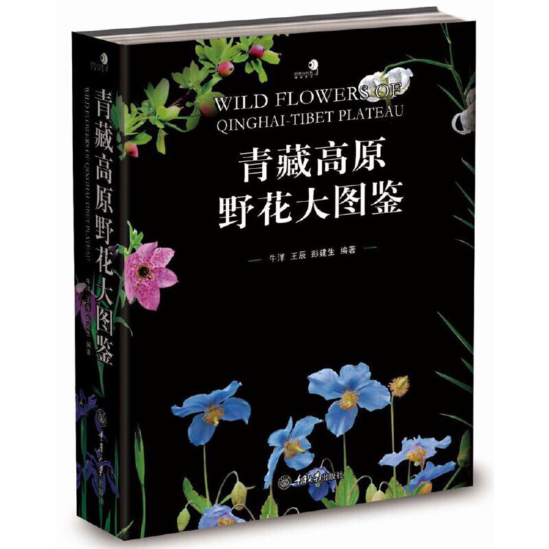 青藏高原野花大图鉴牛洋，王辰，彭建生科普读物其它重庆大学出版社新华书店正版