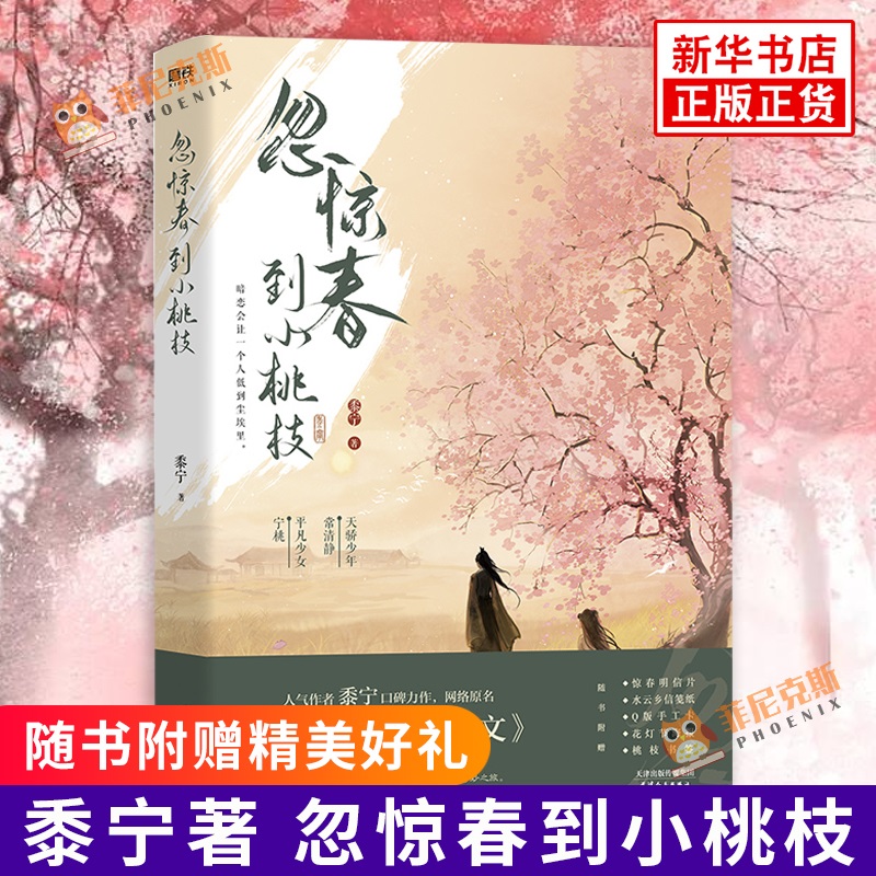 忽惊春到小桃枝【随书赠惊春明信片+桃枝书签+水云乡信笺纸+Q版手工卡+花灯节海报】黍宁著 网络原名一篇古早狗血虐文青春言情小说
