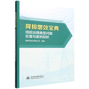 降损增效宝典-线损治理典型问题处置与案例剖析国网石家庄供电公司电工技术/家电维修中国水利水电出版社新华书店正版