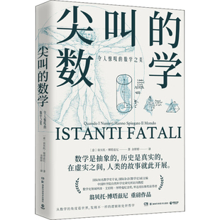 尖叫的数学：令人惊叹的数学之美(意) 翁贝托·博塔兹尼著 余婷婷译科普读物其它湖南科学技术出版社新华书店正版