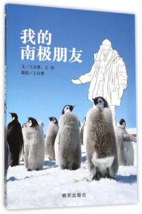 8岁幼儿童读物 社 南ji朋友 明天出版 科普读物 小学一年级桥梁书 儿童认知类故事图画书5 我 信谊绘本儿童文学系列