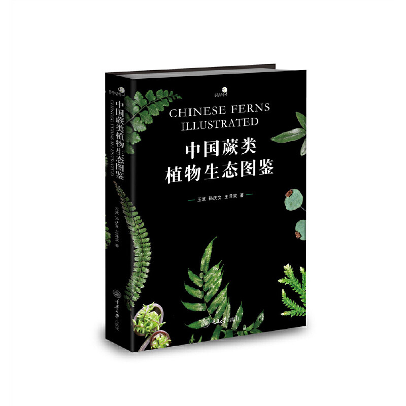 中国蕨类植物生态图鉴 王波 重庆大学出版社 科普读物 生物世界植物 新华正版书籍