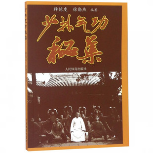 少林气功秘集 少林武术练气功法中国少林武术 健身养生气功书 内力内功气功书籍 人民体育出版社 新华正版书籍