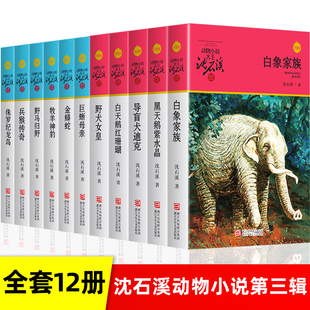 沈石溪动物小说全集全套12册品藏书系列 侏罗纪龙鸟白天鹅红珊瑚导盲犬迪克四五六年级儿童文学小说 10-12-15周岁学生课外书