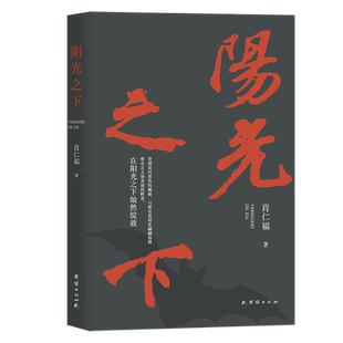 阳光之下 肖仁福 著 现实题材长篇小说反腐败斗争小说 中国现当代文学小说书籍 官场小说 与腐败分子斗智斗勇 新华书店正版书籍