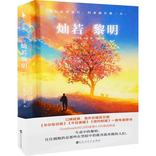 灿若黎明(美) 艾米·哈蒙著 吴超译外国小说百花洲文艺出版社新华书店正版