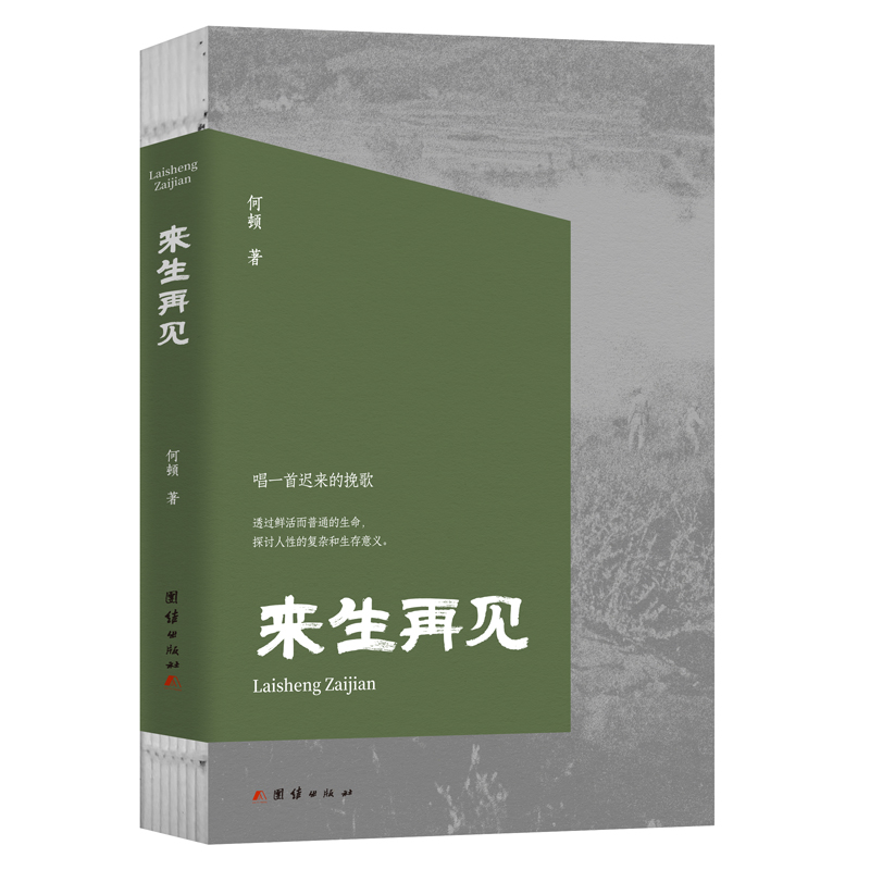 来生再见 何顿著 透过鲜活而普通的生命 探讨人性的复杂和生存意义 现当代文学长篇小说 团结出版社 新华正版书籍