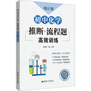 周计划初中化学高效训练 推断·流程题 初中初一初二初三中考化学拓展练习专项训练化学推断流程题高效训练 华东理工大学出版社