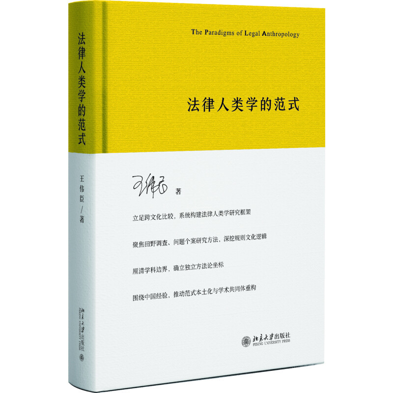 法律人类学的范式王伟臣 著法律知识读物北京大学出版社新华书店正版