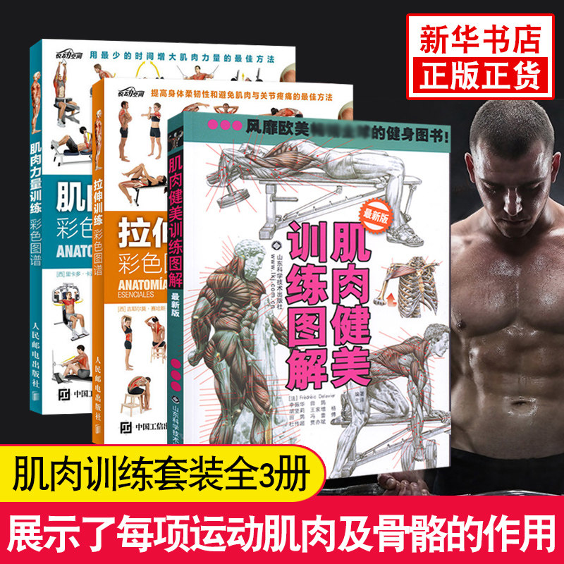 肌肉力量训练+拉伸训练彩色图谱+肌肉健美训练图解新版 3册套 运动健身健美肌肉训练书囚徒健身女无器械健身教程大全 健身教程大全
