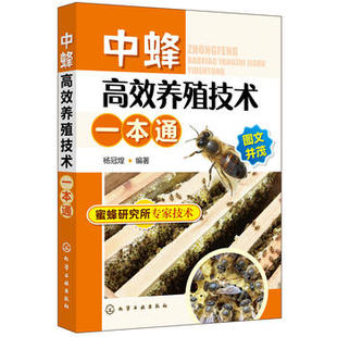 中蜂病虫害及防治技术 养蜂技术专业指导书 蜜蜂饲养原理与方法 养蜂书籍大全蜜蜂中蜂养殖技术大全 中蜂gx养殖技术一本通
