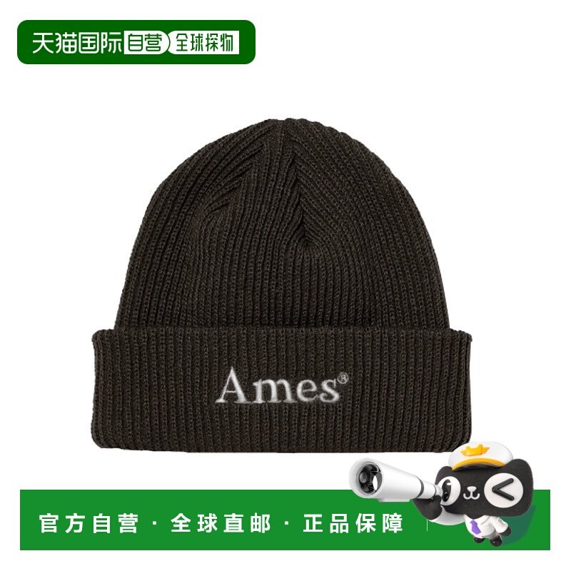 韩国直邮Ames Worldwide 女士帽子BASIC LOGO BEANIE BROWN AM2EFU