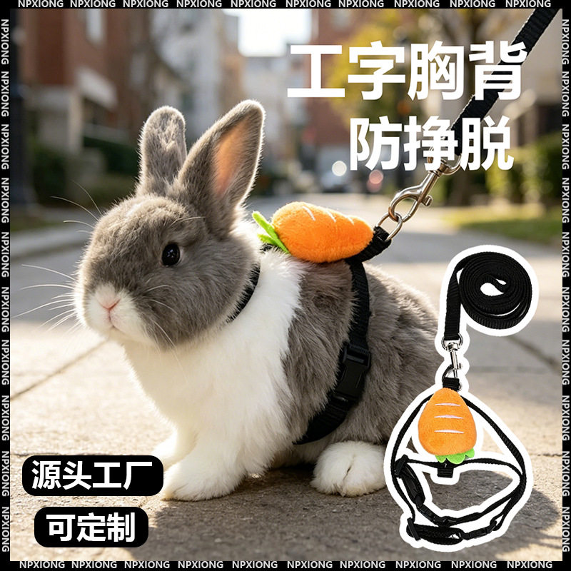 小兔子牵引绳防挣脱专用外出神器溜侏儒幼兔宝宝荷兰猪龙猫的绳子