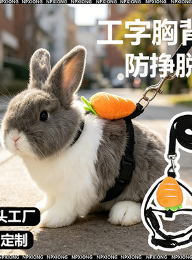 小兔子牵引绳防挣脱专用外出神器溜侏儒幼兔宝宝荷兰猪龙猫的绳子