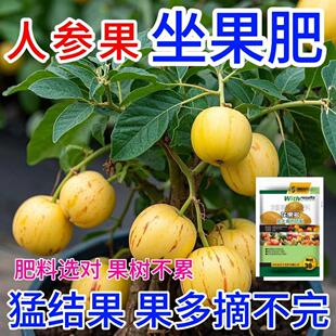 人参果营养液促花促果防黄叶促发芽专用家用生长期挂果增甜水溶肥