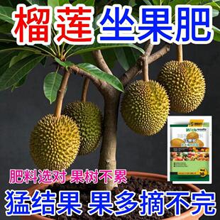 榴莲营养液促花促果防黄叶促发芽专用肥家用生长期挂果增甜水溶肥