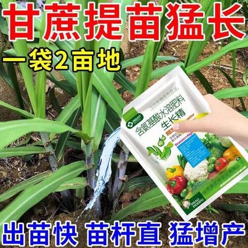 甘蔗生根壮苗剂甘蔗快速生根分叉多壮苗促长生根养根专用生根剂