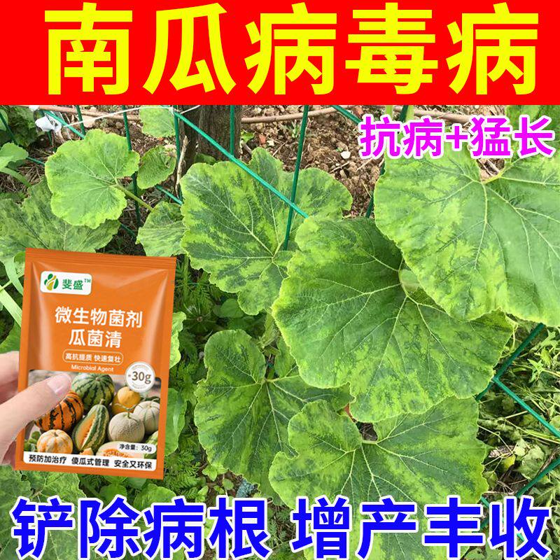 南瓜病害专用药枯萎蔓枯病毒病炭疽白粉病全治西瓜甜瓜专用杀菌剂
