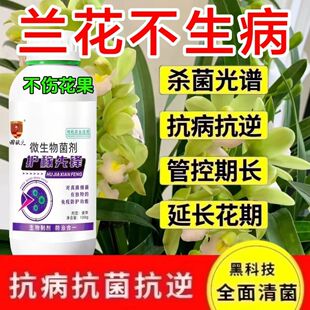 兰花黄叶干尖专用药兰花黑斑病烂根软腐茎腐病黄叶焦尖专用杀菌剂
