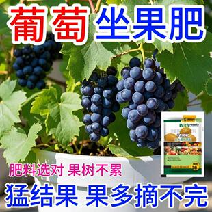 葡萄营养液促花促果防黄叶促发芽专用肥家用生长期挂果增甜水溶肥