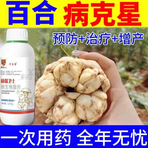 百合杀菌剂百合专用药花叶病斑点病叶枯病茎腐病灰霉病农药杀菌剂