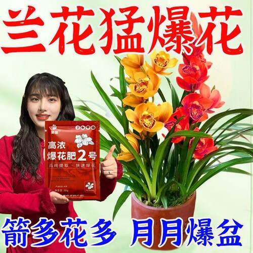 兰花爆芽素生根营养肥发芽促花苞催花爆芽防黄叶干尖不发芽不开花