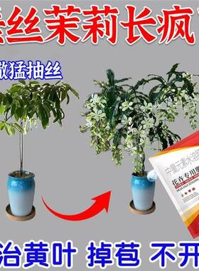垂丝茉莉专用营养液叶免稀释防黄叶烂根黑腐枯枝促生长一喷开花