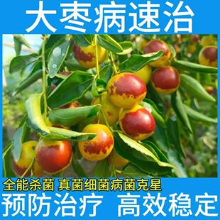 枣疯病专用药枣树病全治小叶黄叶炭疽缩果卷叶病褐腐病农用杀菌剂
