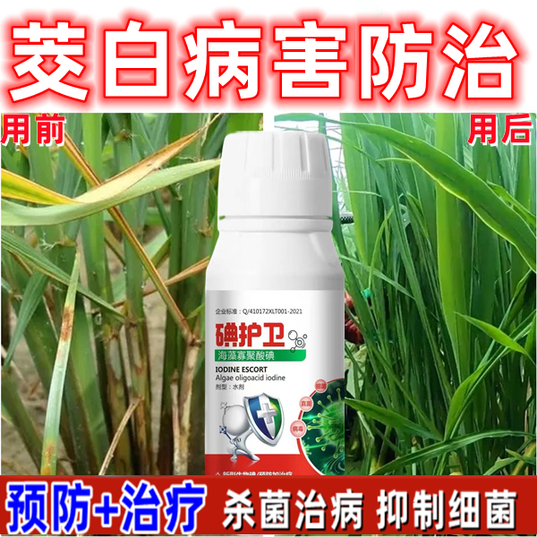 茭白杀菌剂茭白病防治白瘟病纹枯病专用杀菌药叶斑病黑斑褐斑病