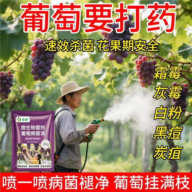 葡萄病专用药病全治葡萄专用杀菌剂病虫防害炭疽病白粉病烂果霜霉