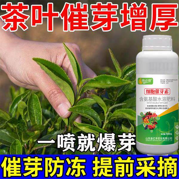 茶叶叶面肥催芽剂催芽王强力催芽暴新芽茶叶树提前发芽增产促长剂