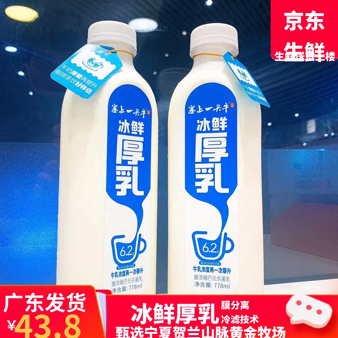 塞上一头牛宁夏高原牧场