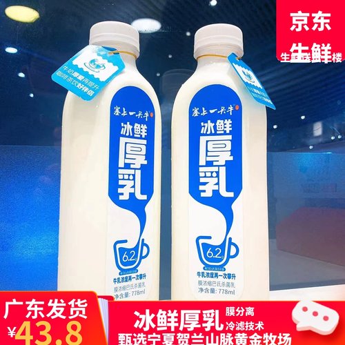 塞上一头牛宁夏高原牧场