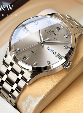 正品IW爱沃驰手表男士全自动机械表官方旗舰店品牌商务简约男款表