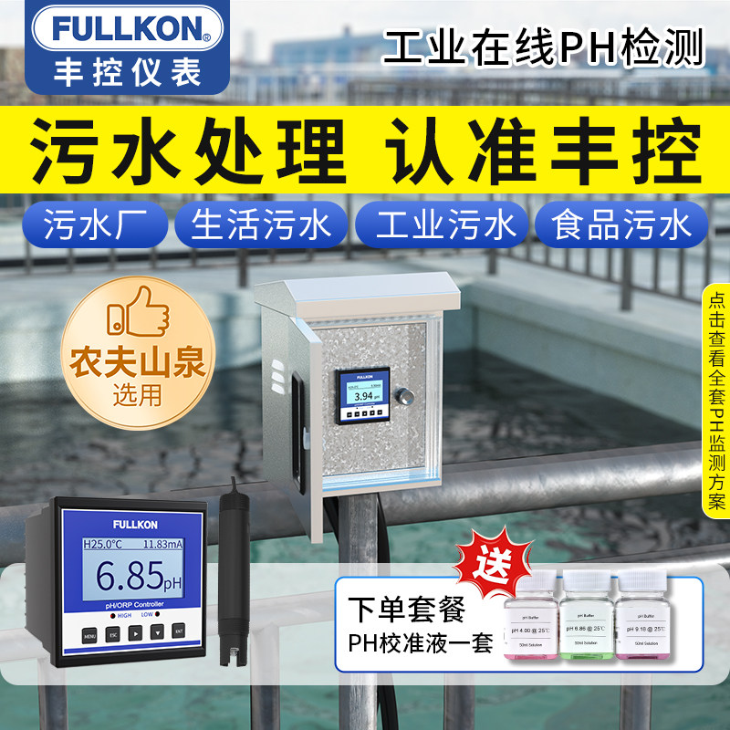丰控在线ph计污水处理工业废水医疗用水质检测探头ph值检测酸度计 - 实物图
