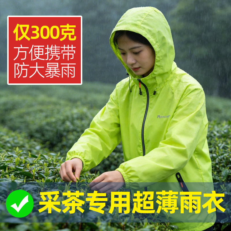 采茶专用雨衣雨裤套装农民田里干活摘茶叶耐磨防水防雨透气超薄款