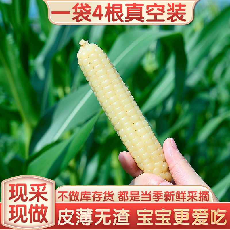 傣香糯常温西双版纳香糯小玉米