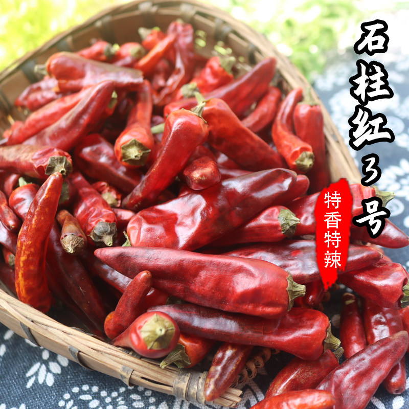 石柱红3号和石柱红1号为同一辣椒，特辣特香