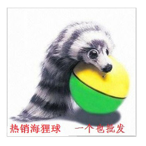 海狸鼠电动玩具游泳顶球可批