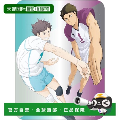 【日本直邮】Gourmandies Haikyuu 鼠标垫及川＆牛岛 BHIK-13E