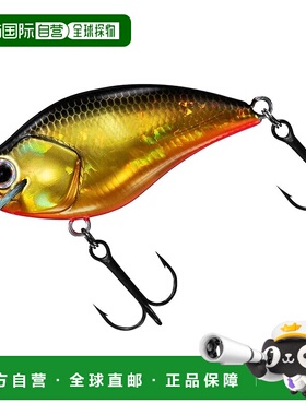 【日本直邮】达亿瓦25STEEZ 方形 100 黑王路亚