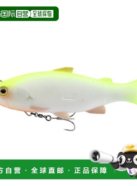 日本直邮Jackall Worm Vividus Chart Back Pearl