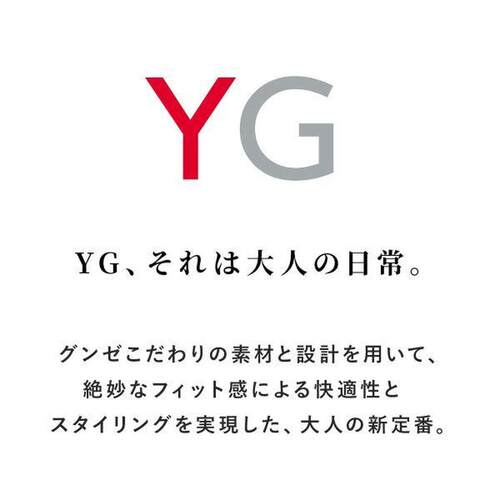 日本直邮Gunze/郡是 YG 男士纯棉标准三角裤 透气舒适