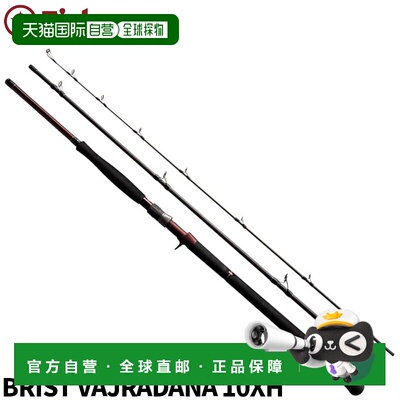 日本直邮Fishman BRIST 金刚金刚 10XH FBR-10XH
