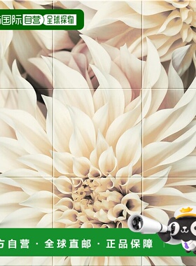 【日本直邮】LIXIL Ecocarat Self Flower 9090 套装（替换装）EC