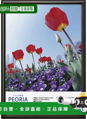 【日本直邮】HAKUBA 相框 铝制相框 Peoria A3 尺寸 黑色 A3 1 面